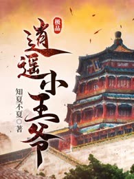 极品逍遥小王爷