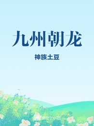 九州朝龙
