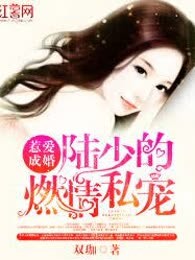 惹爱成婚：陆少的燃情私宠