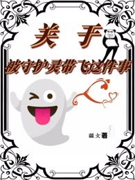 关于被守护灵带飞这件事