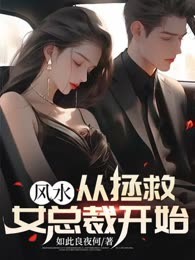 风水：从拯救女总裁开始