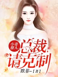 小妻撩人：总裁，请克制