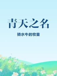 青天之名

