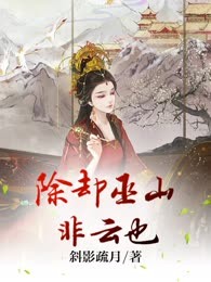 除却巫山非云也