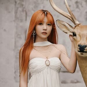 Lại Mỹ Vân