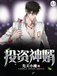 投资神婿
