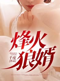 烽火狼婿