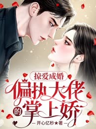 掠爱成婚：偏执大佬的掌上娇（旧版）