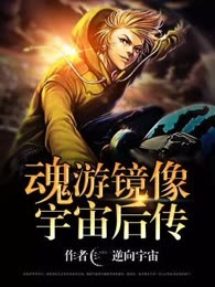 魂游镜像宇宙后传