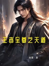 王者至尊之天道