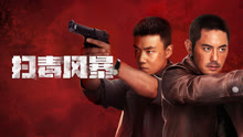 线上看 扫毒风暴 (2025) 带字幕 中文配音