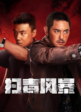 线上看 扫毒风暴 (2025) 带字幕 中文配音