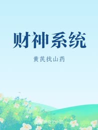 财神系统