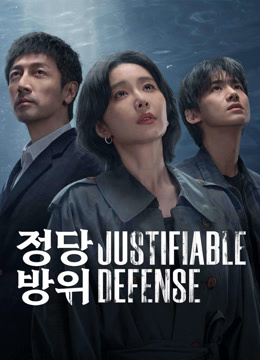 온라인에서 시 정당방위 (2025) 자막 언어 더빙 언어