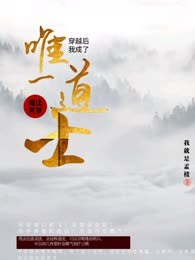 穿越魔法世界：我成了唯一道士