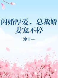 闪婚厚爱，总裁娇妻宠不停