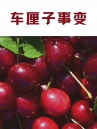 车厘子事变