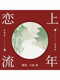 恋上流年