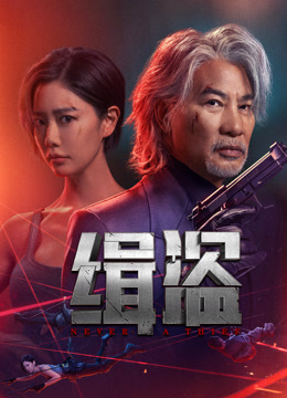 線上看 緝盜 (2025) 帶字幕 中文配音，國語版