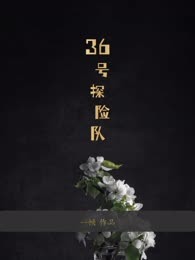 36号探险队