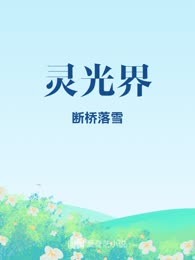 灵光界