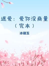 逐爱：爱你没商量（完本）