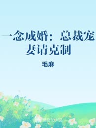 一念成婚：总裁宠妻请克制